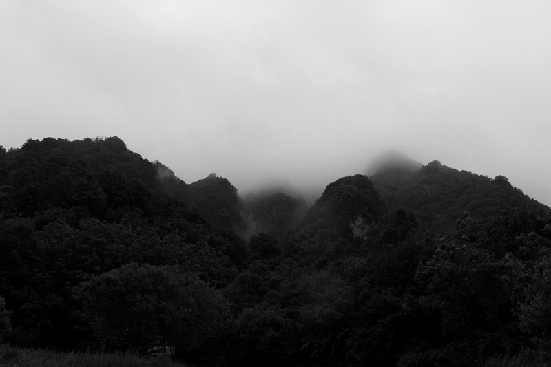 IMG_2343_副本.jpg