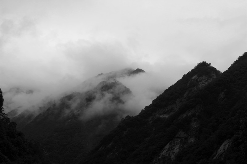 IMG_2349_副本.jpg