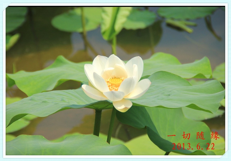 IMG_1485_副本.jpg