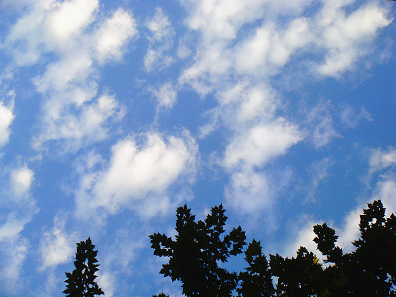 DSC09004_副本.jpg