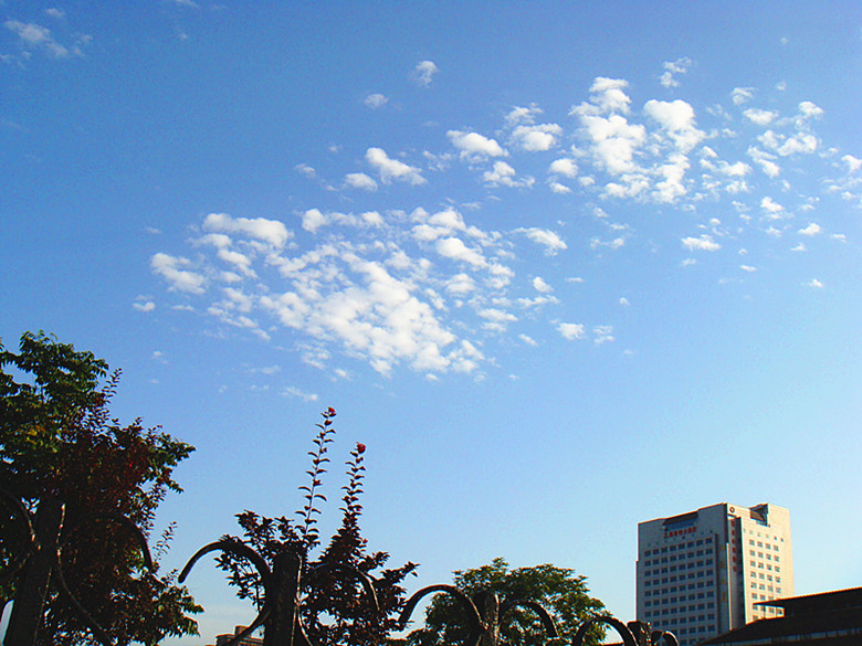 DSC08999_副本.jpg