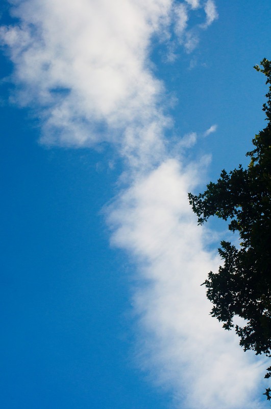 a22429682_s.jpg
