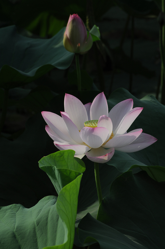 DSC_0357_副本.jpg