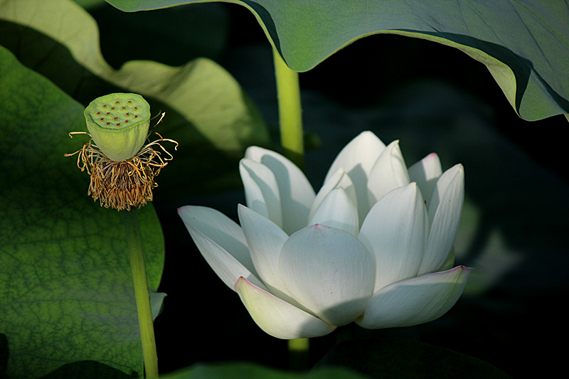 IMG_7819_副本.jpg