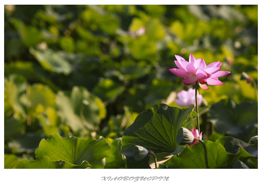 20130701_1578.jpg