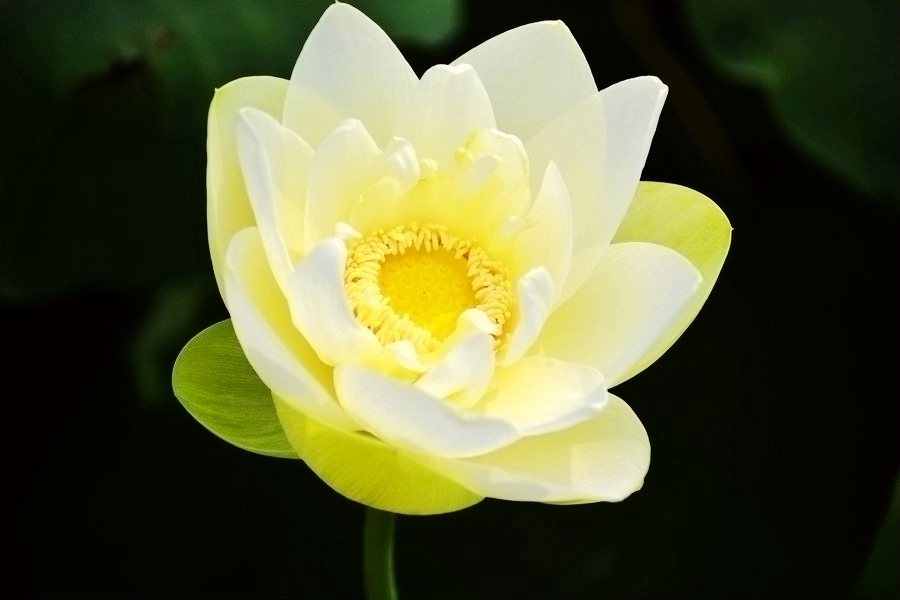 DSC_1348副.jpg