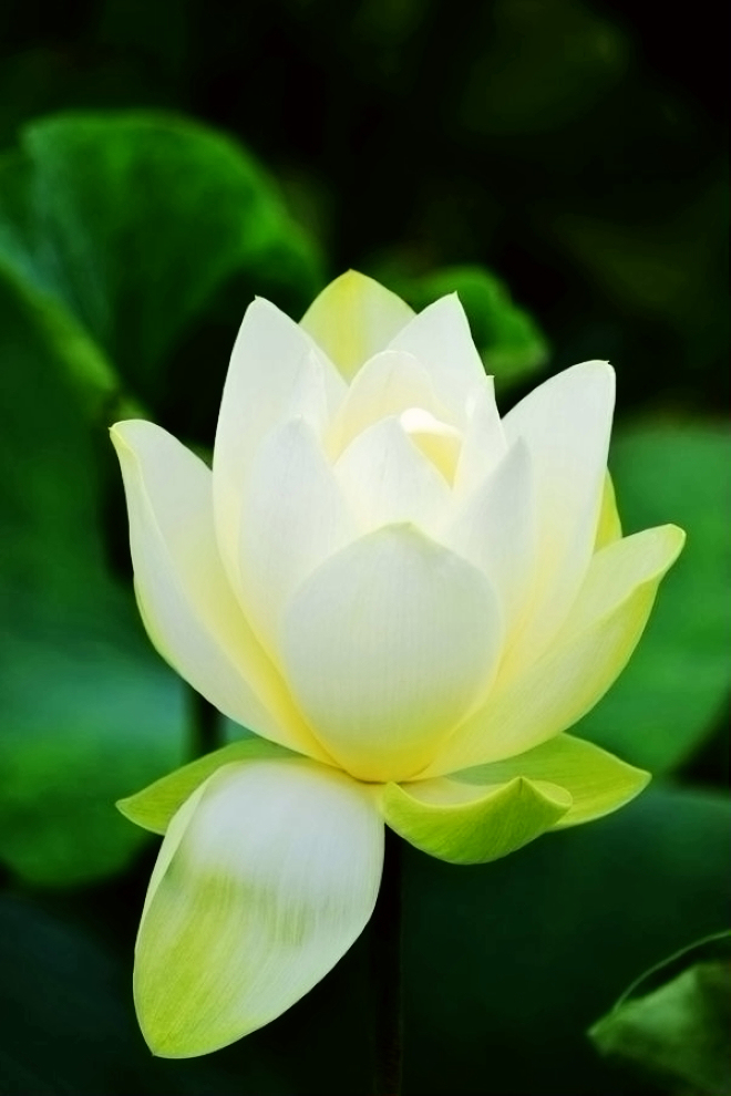 DSC_1371副.jpg
