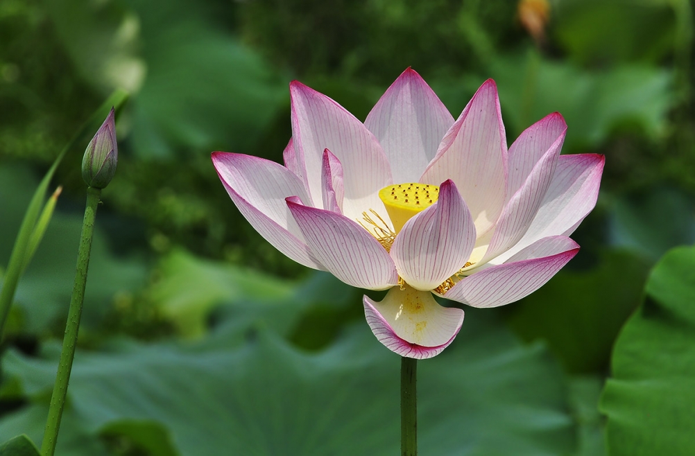 _DSC6487副本.jpg