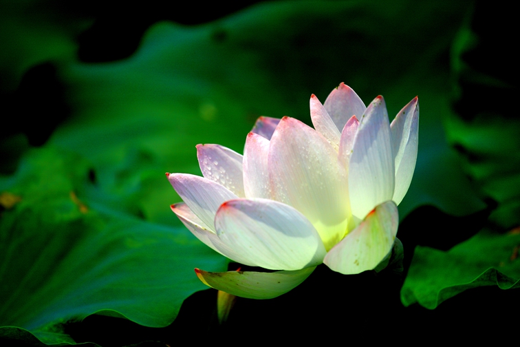 IMG_7852_副本.jpg