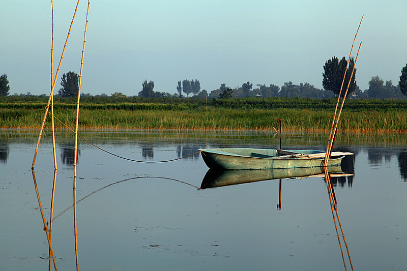 大荔景色 049_副本.jpg
