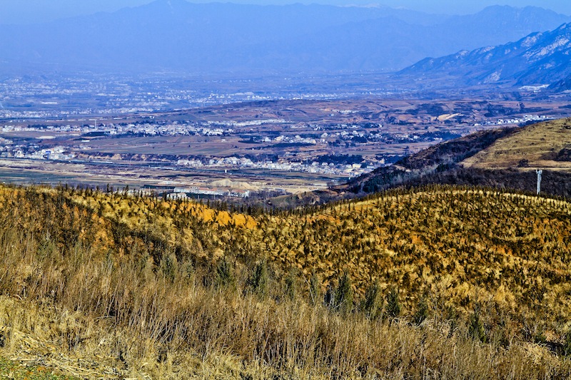 IMG_0216.jpg
