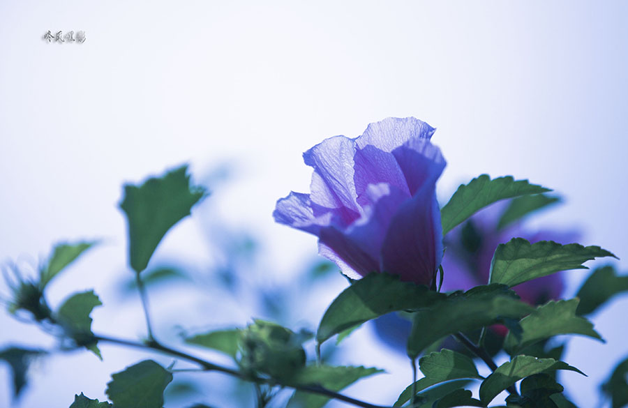 20130707_1831.jpg