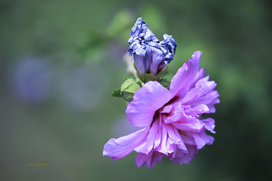 20130707_1844.jpg
