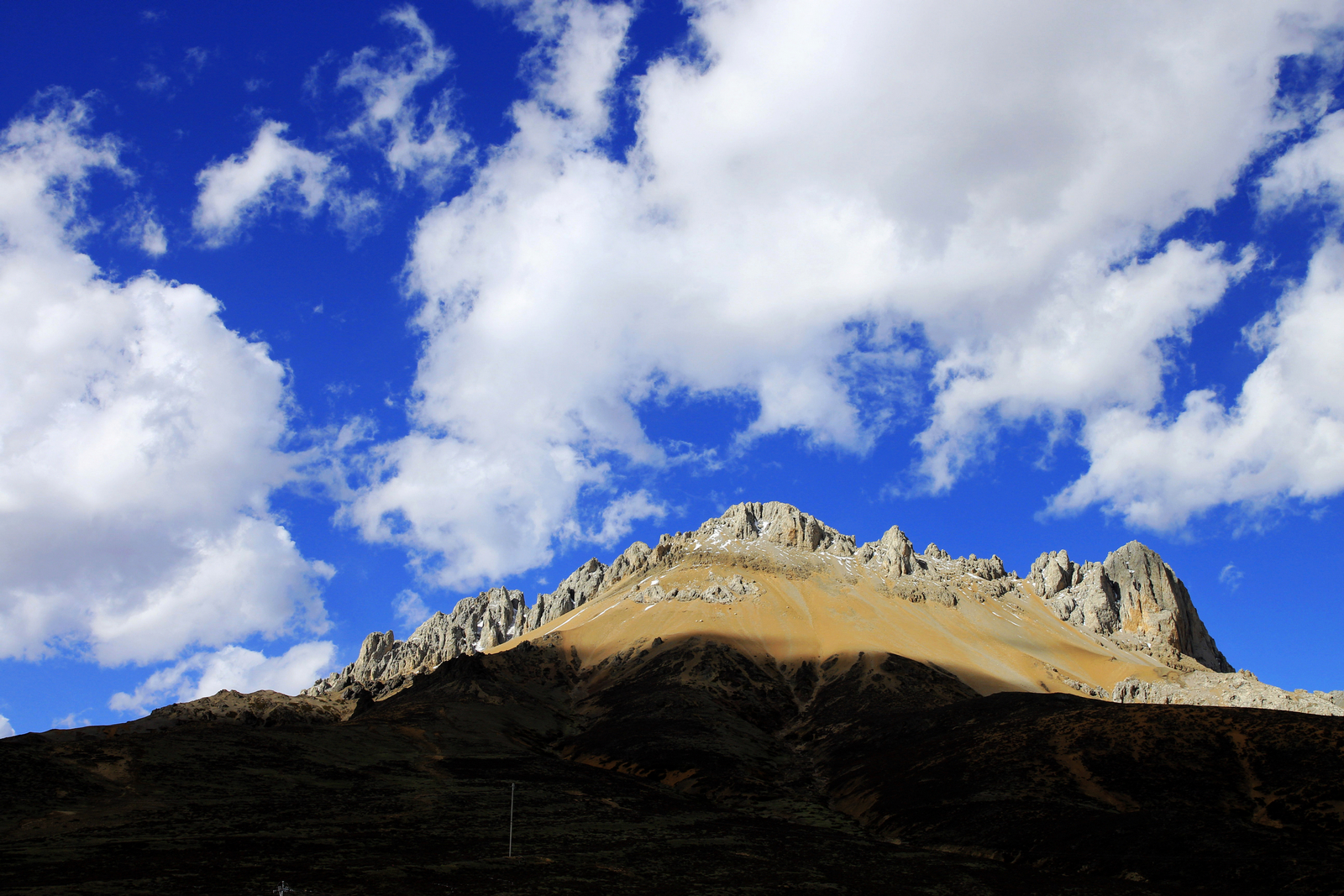 _MG_0265.jpg