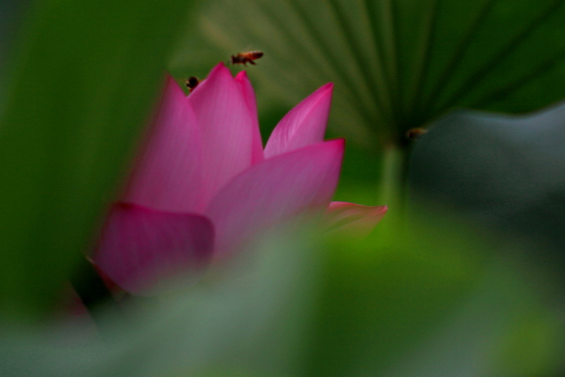 IMG_8555 拷贝.JPG