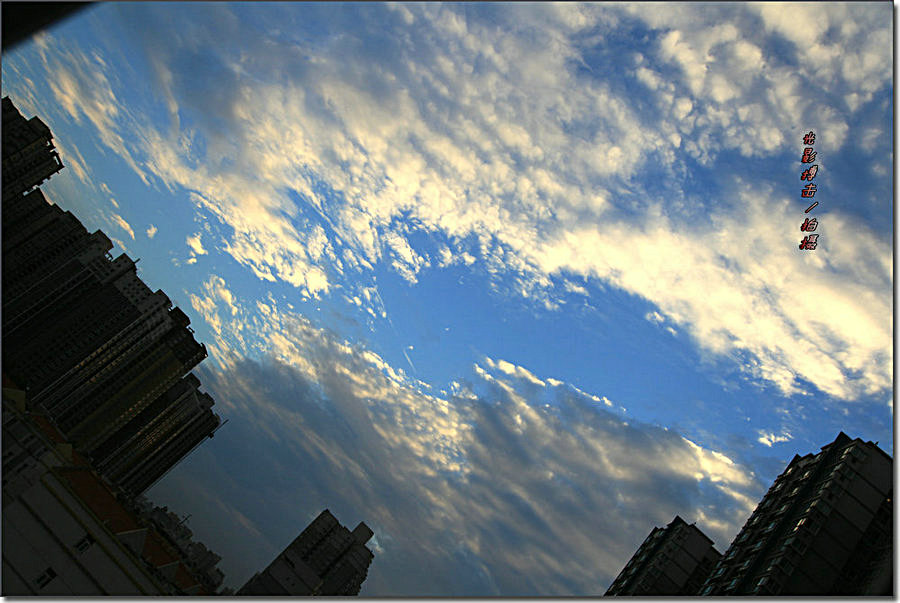 IMG_5557_副本.jpg