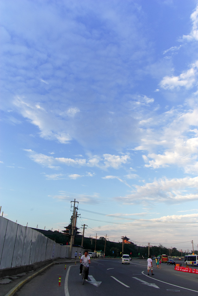 IMGP8656.jpg