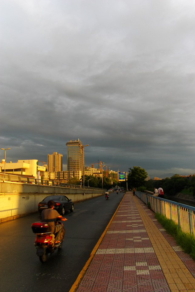 IMGP8850.jpg
