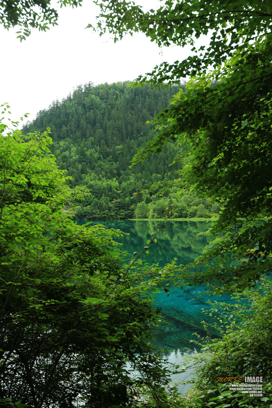 1G8A6245a.jpg
