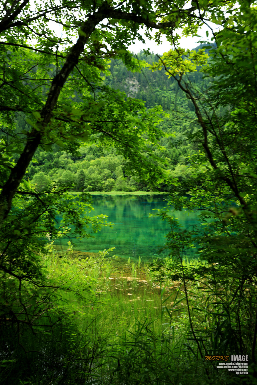 1G8A6251a.jpg