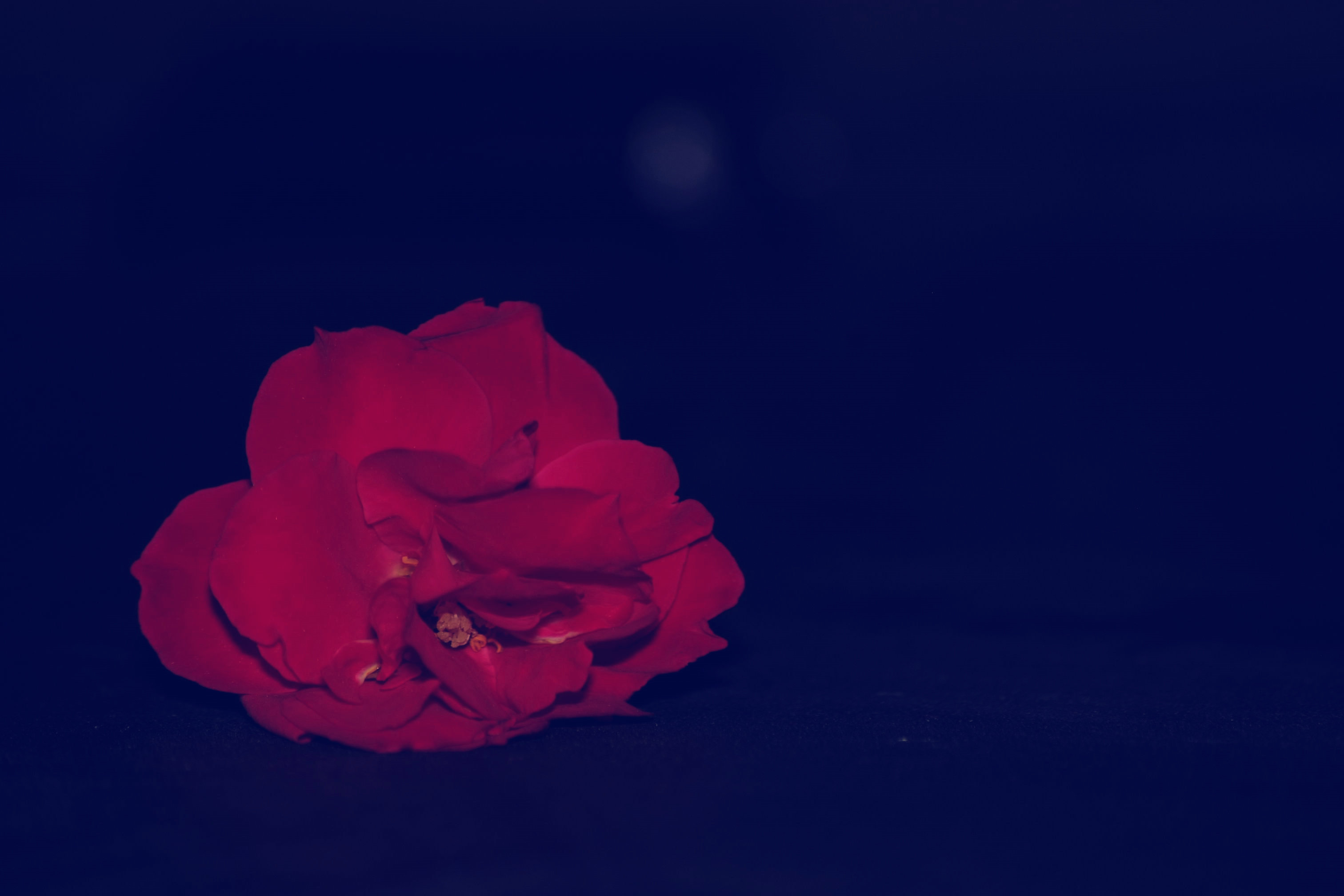 DSCF9808.JPG