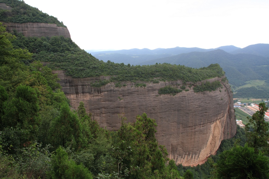 植物园223.jpg