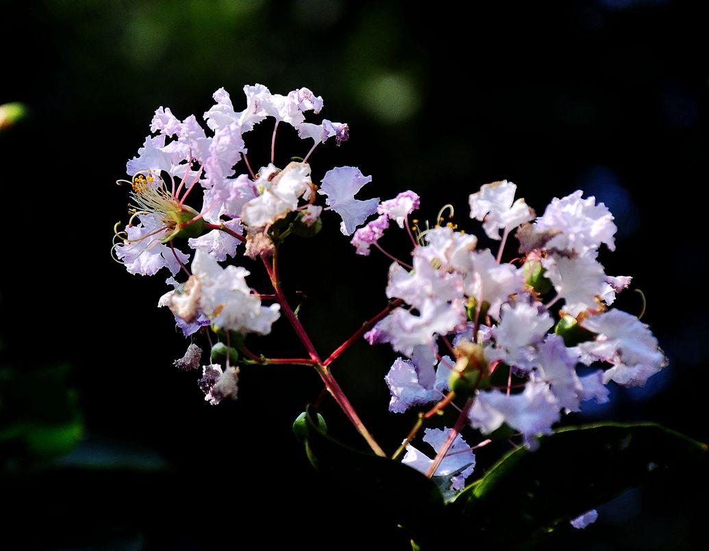 DSC_0874.jpg