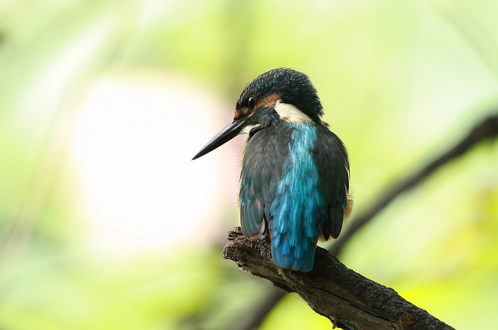 永阳公园S 067BA.jpg