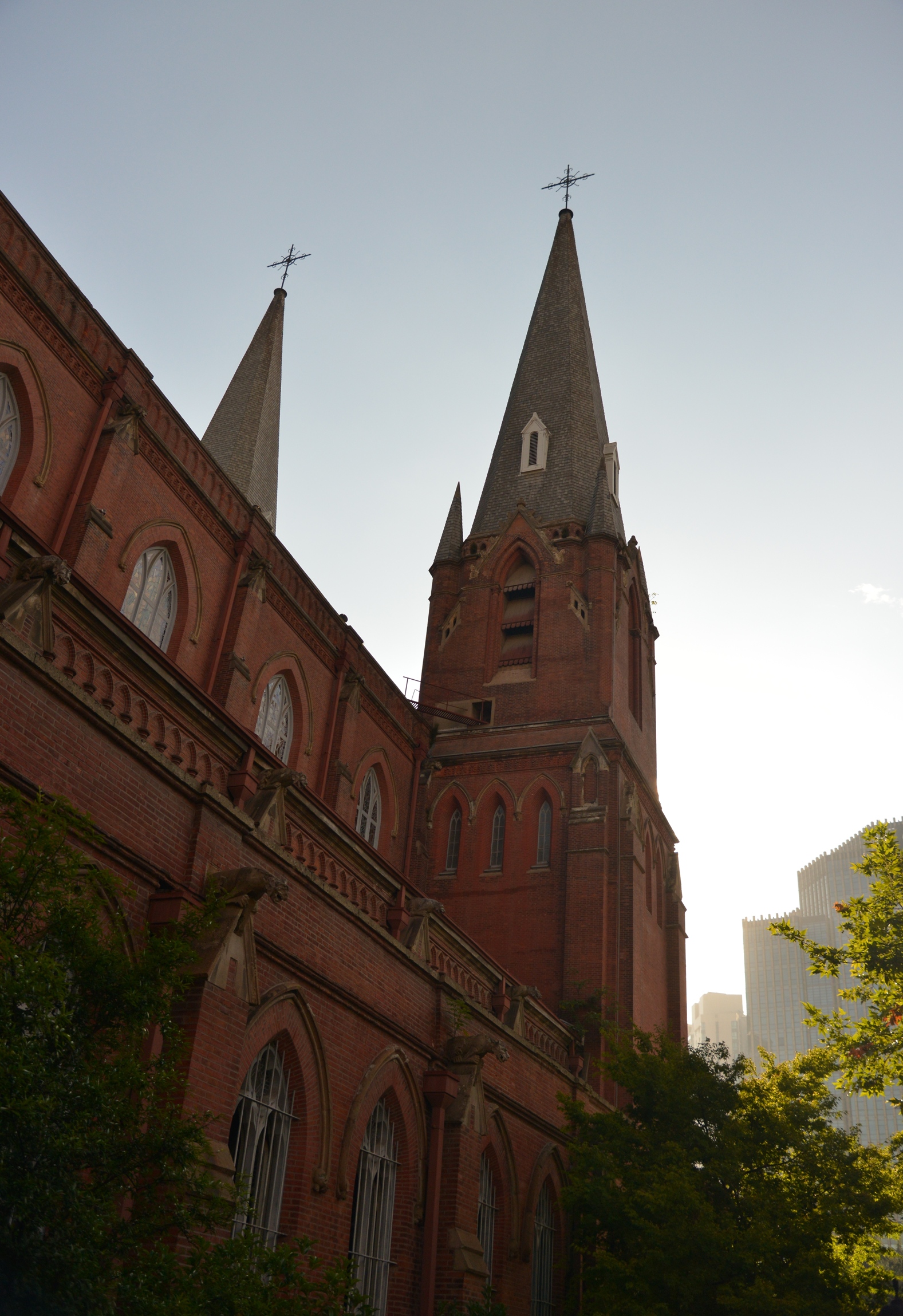 DSC_5784.JPG