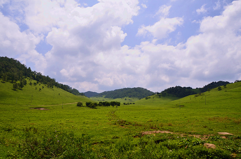 照片 042_副本.jpg