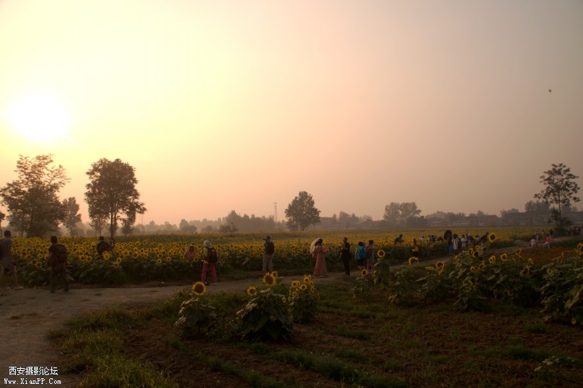 DSC_1057_conew1.jpg