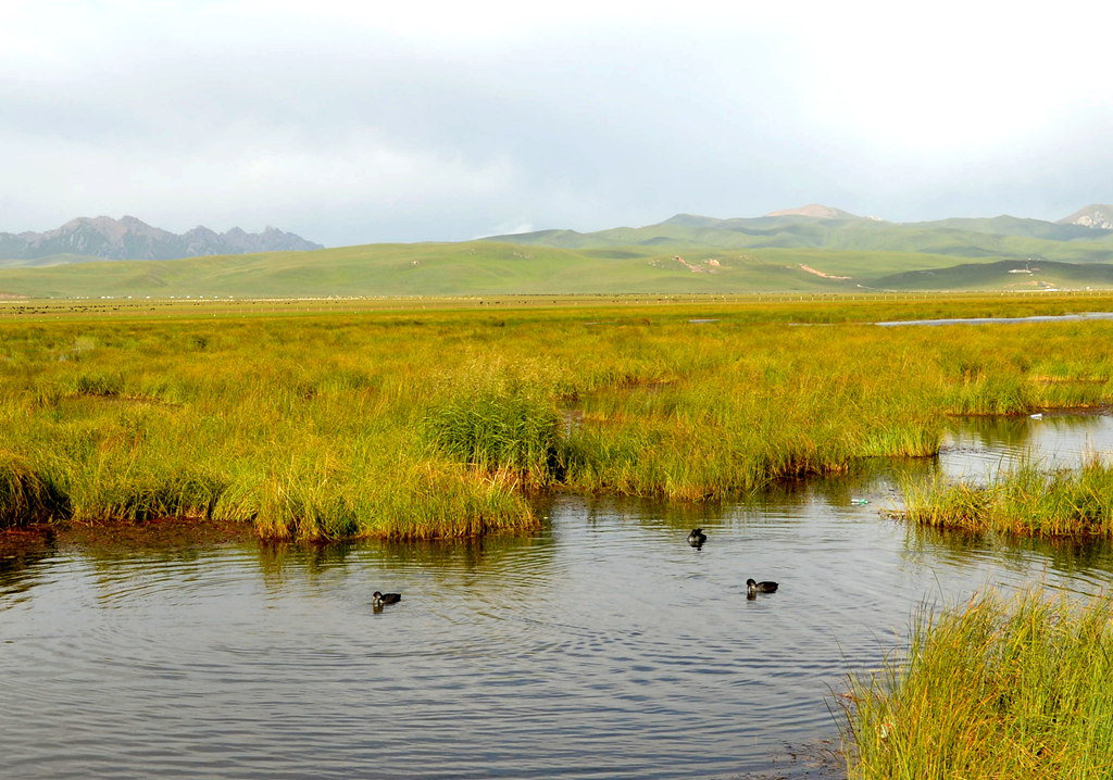 DSC_0188_副本.jpg
