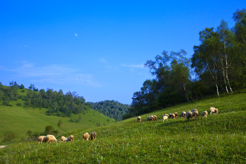 _MG_5382.jpg