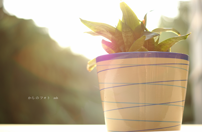 DSC05833_副本_副本.jpg