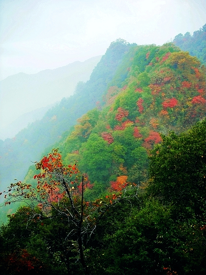 JLX 050_副本_副本.jpg