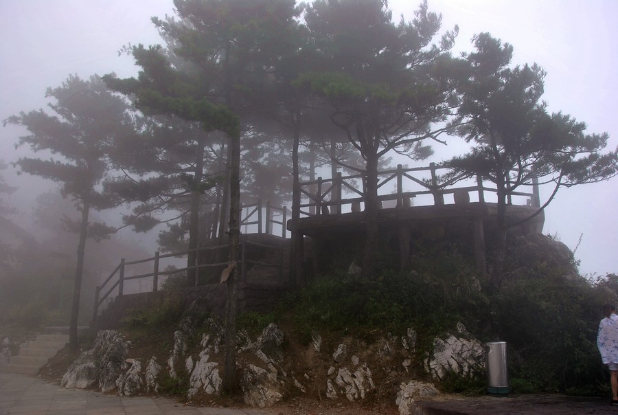 DSC_2527.jpg