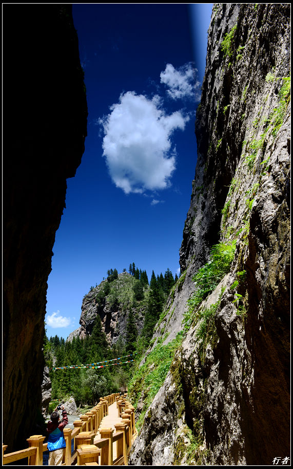 DSC_2312.jpg