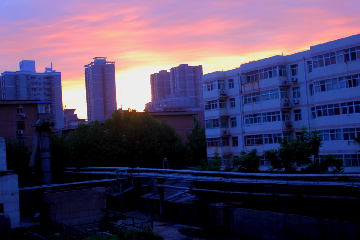 _MG_2961.JPG