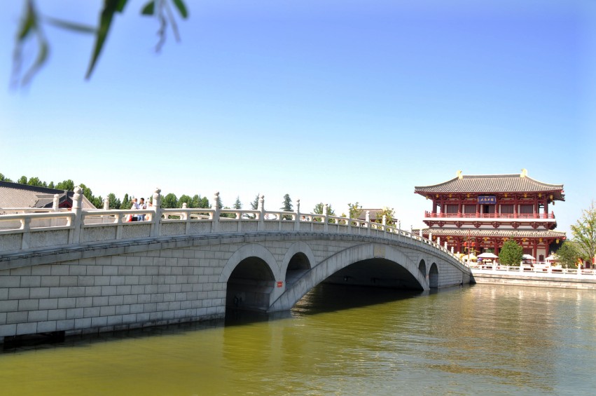 DSC_0866_conew1.jpg