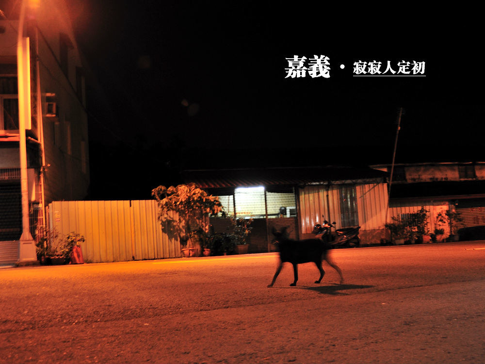 嘉义寂寂人定初.jpg