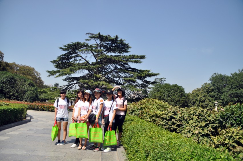 DSC_0344_conew1.jpg