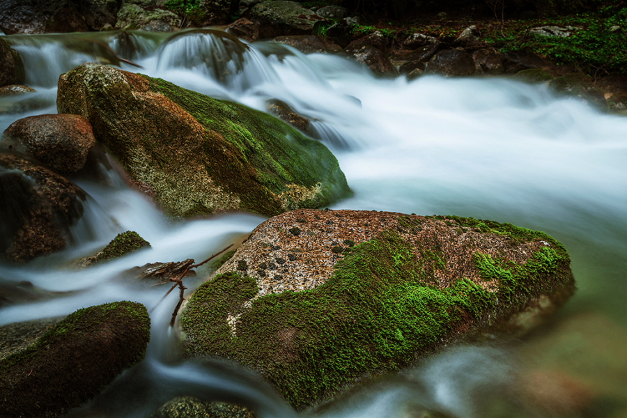 DPP_0115.JPG
