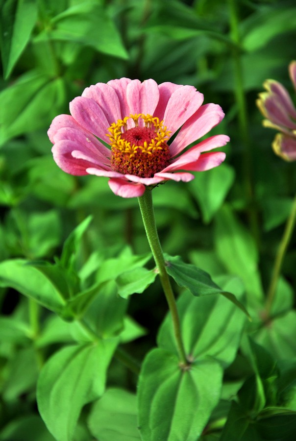 DSC_3356.jpg