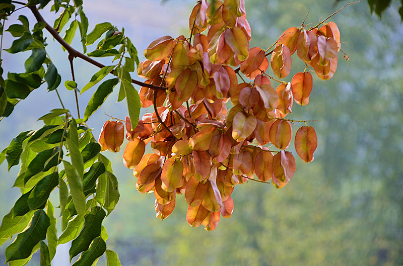 照片 038_副本.jpg