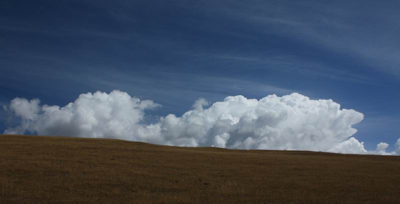 照片2013甘南游 080.jpg