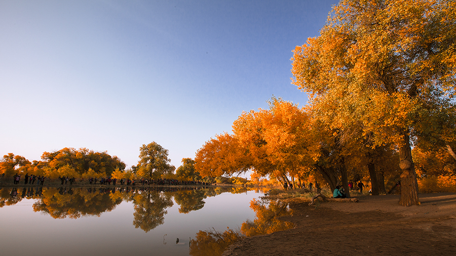 20131004_6201.jpg