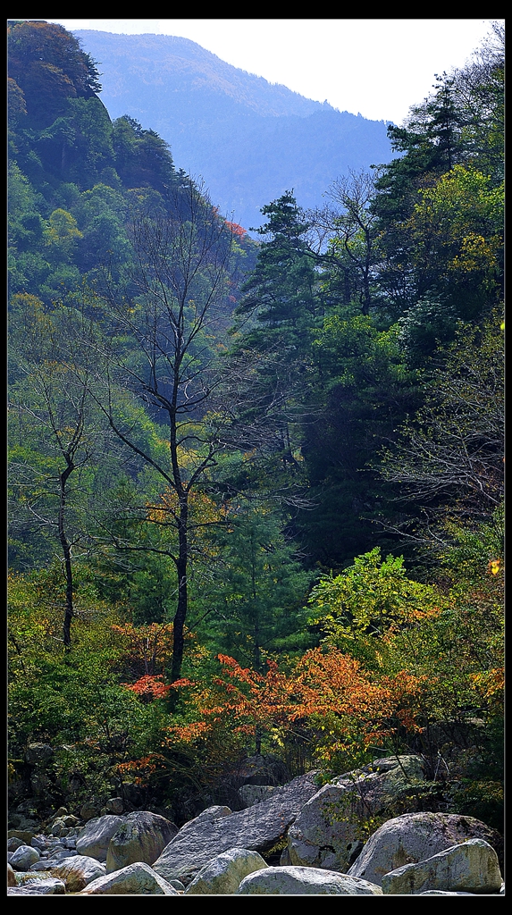 DSC_7486_副本.jpg