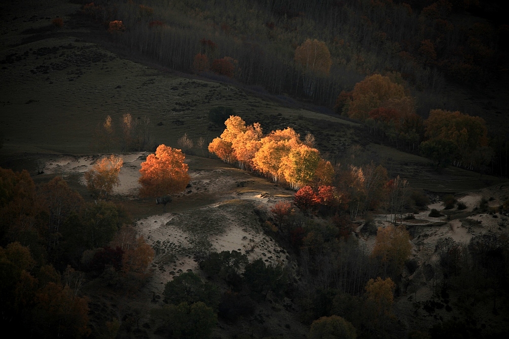 坝上(二） 197BA.jpg