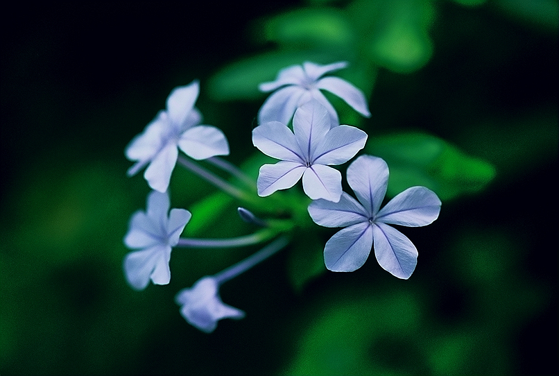 r001-016_副本.jpg
