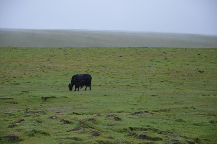 nEO_IMG_20130720-0727 青海行 809.jpg